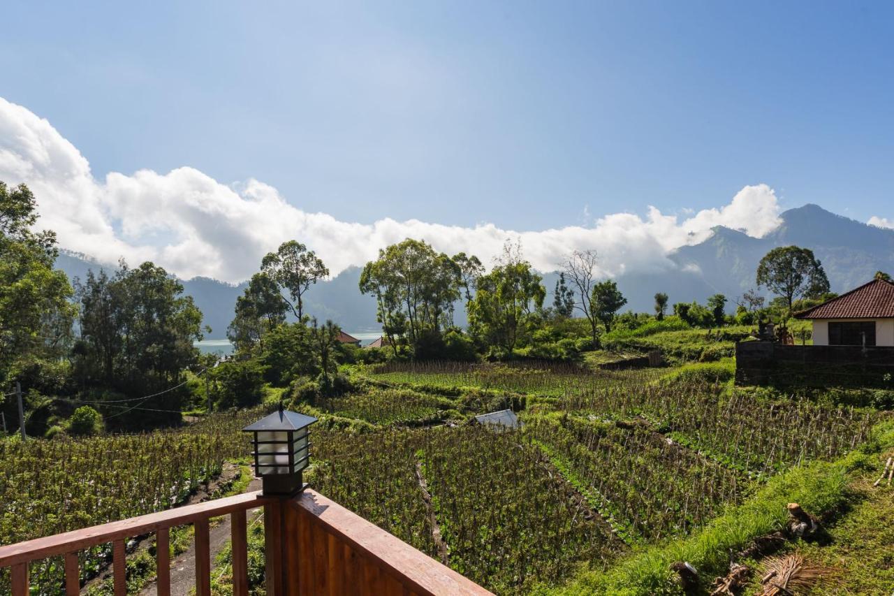 Mount Batur Villa Kintamani Zewnętrze zdjęcie